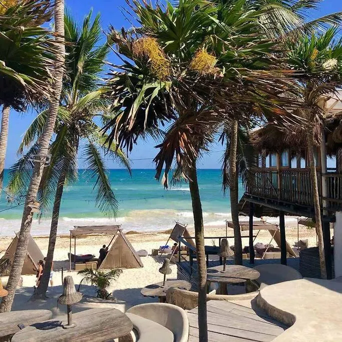 Modern Jungle Boutique Studio W/ Amazing Amenities Tulum Apartment