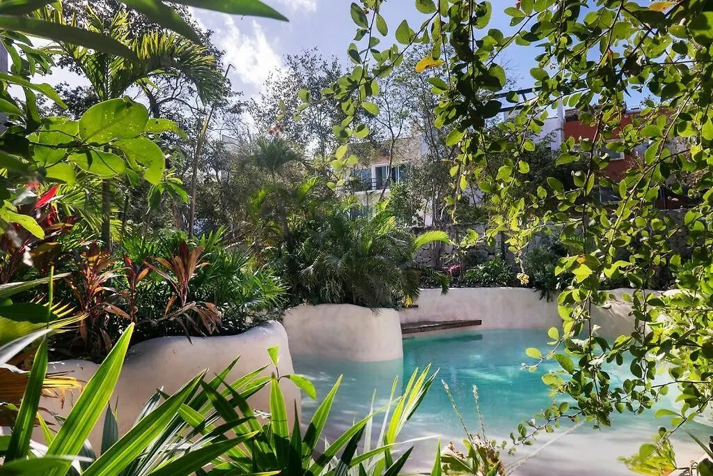 Modern Jungle Boutique Studio W/ Amazing Amenities Tulum